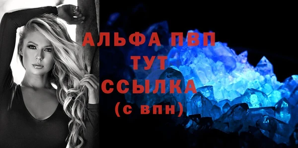 ПСИЛОЦИБИНОВЫЕ ГРИБЫ Горняк