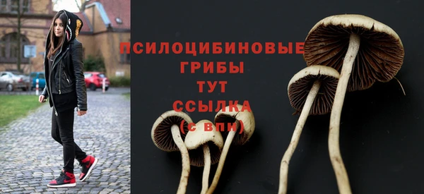 гашиш Горнозаводск