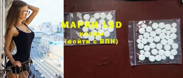 ПСИЛОЦИБИНОВЫЕ ГРИБЫ Горняк