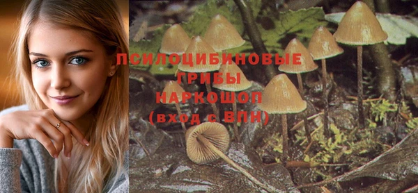 ПСИЛОЦИБИНОВЫЕ ГРИБЫ Горняк