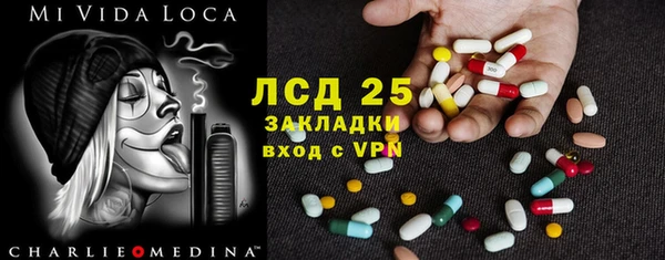 ПСИЛОЦИБИНОВЫЕ ГРИБЫ Горняк