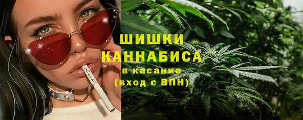 mdpv Снежногорск