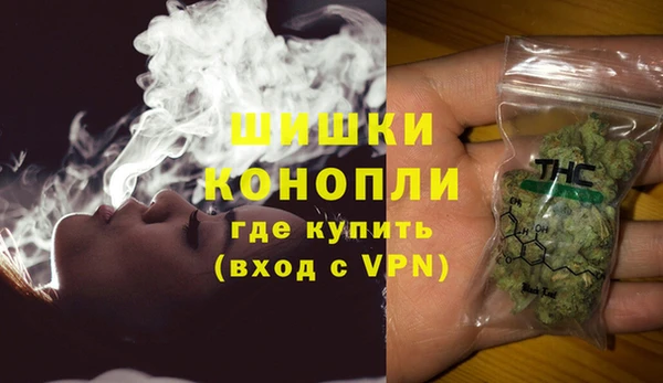 mdpv Снежногорск