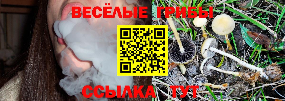 Галлюциногенные грибы Magic Shrooms Кондопога