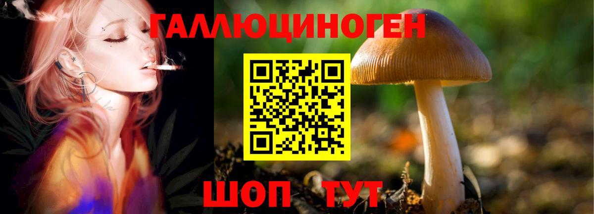 Кондопога  Псилоцибиновые грибы прущие грибы  Вход с VPN 